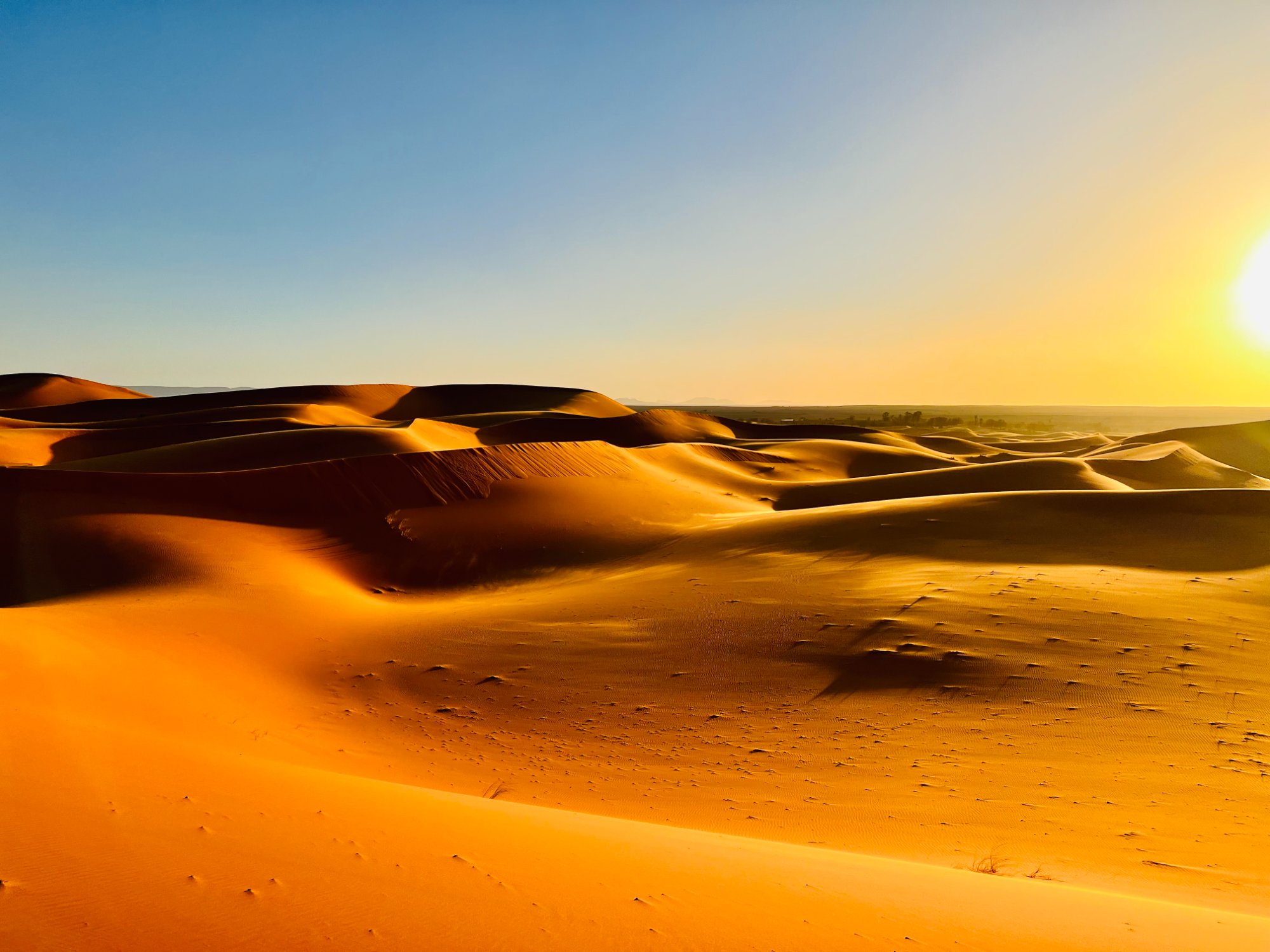 Sahara dunes at sunset